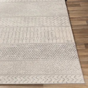 Monaco 2' x 3' Rug