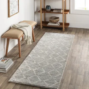 Zara 2'6" x 8' Rug