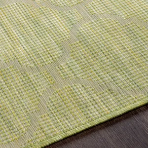 Pasadena 5'1" x 7' Rug