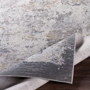 Norland 10' x 14' Rug