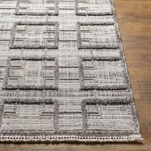 Zaragoza 2'7" x 7'3" Rug