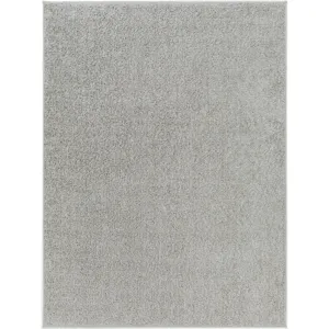 Alfombra 3'11" x 5'11" Rug