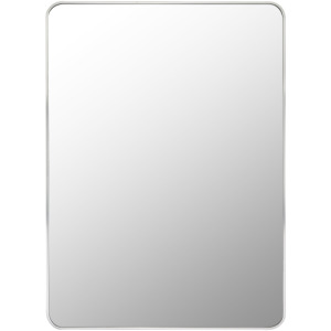 Aranya Mirror