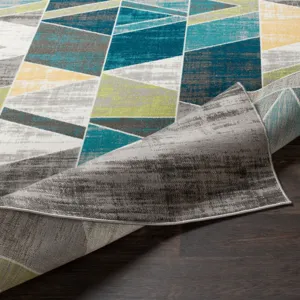 Rafetus 2' x 2'11" Rug