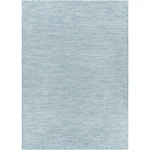 Pasadena 2'6" x 4' Rug
