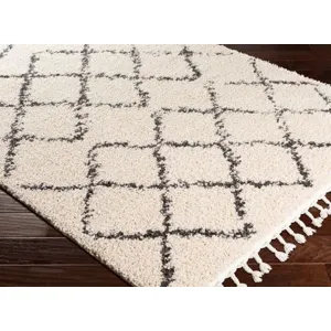 Berber Shag 6'7" x 9' Rug