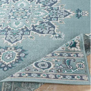 Alfresco 2'5" x 4'5" Rug