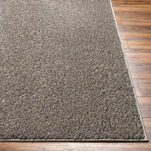 Alfombra 2'7" x 9'10" Rug