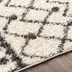 Taza shag 6'7" x 9' Rug