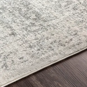 Harput 2'7" x 12' Rug