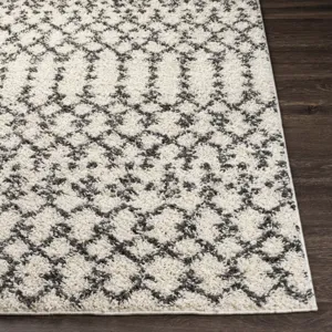 Taza shag 7'10" x 10' Rug