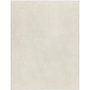Alfombra 2'7" x 9'10" Rug