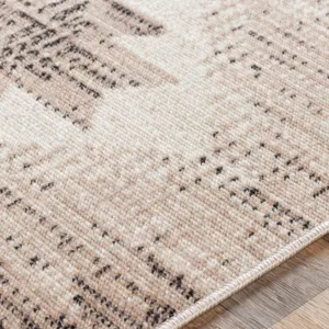 Rafetus 2' x 2'11" Rug