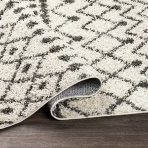 Taza shag 7'10" x 10' Rug