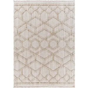 Zaragoza 5'3" x 7' Rug