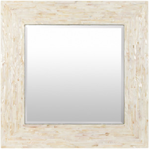 Iridescent  Mirror
