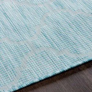 Pasadena 2'6" x 4' Rug
