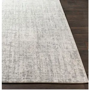 Aisha 2'7" x 5' Rug