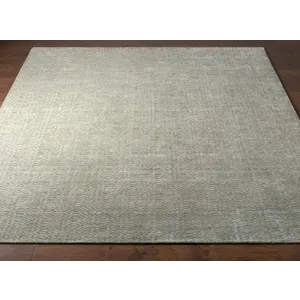 Astara 8' x 10' Rug
