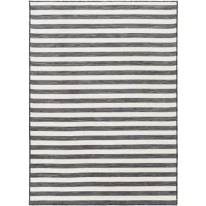 Pasadena 2'7" x 4'11" Rug