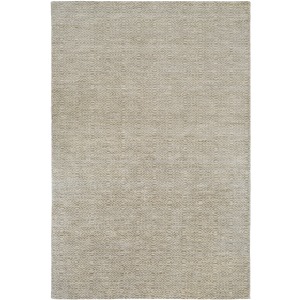 Astara 6' x 9' Rug