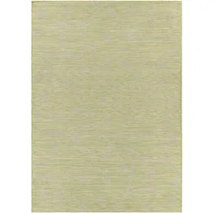 Pasadena 2'6" x 4' Rug