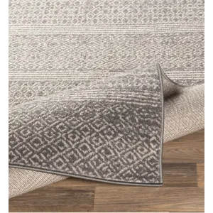 Chester 6'7" x 9' Rug