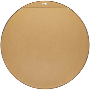 Aranya Mirror