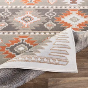 Skagen 2' x 2'11" Rug