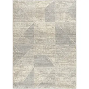 Alder 23" x 45" Rug