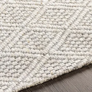Trace 2'6" x 8' Rug