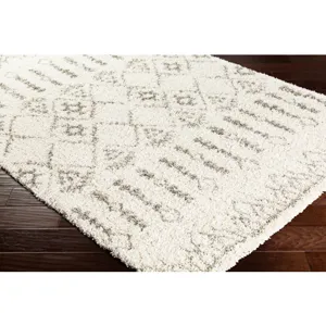 Serengeti Shag 2' x 3' Rug
