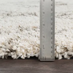 Serengeti Shag 9'3" x 12'3" Rug