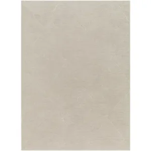 Alder 4'11" x 7' Rug