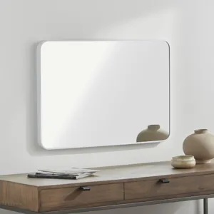 Aranya Mirror