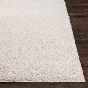 Deluxe shag 4'3" x 5'7" Rug