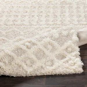 Urban Shag 8'10" x 12' Rug