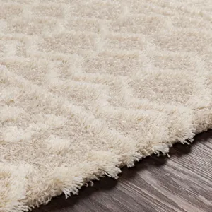 Urban Shag 4'3" x 5'7" Rug