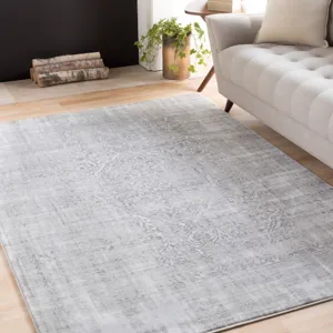 Nova 3'11" x 5'3" Rug