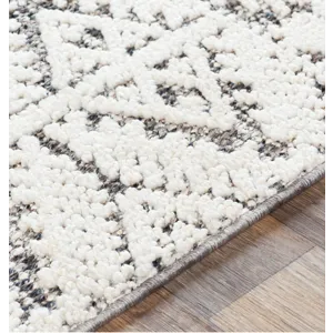 Ariana 2'3" x 3'9" Rug