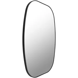 Aranya Mirror