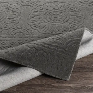Taraash 2'6" x 8' Rug