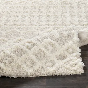 Urban Shag 2'7" x 16' Rug