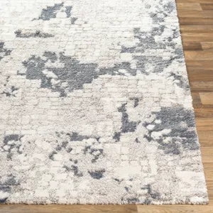 Venice 2' x 3' Rug