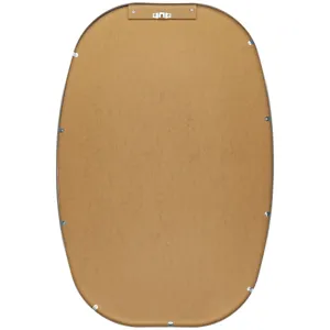 Aranya Mirror