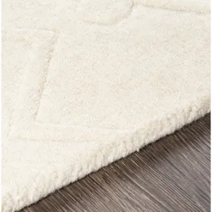 Taraash 8' x 10' Rug
