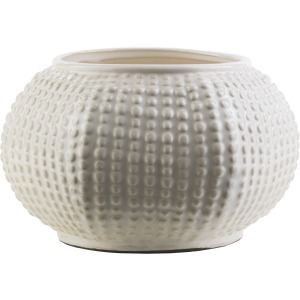 Clearwater Decorative Accent