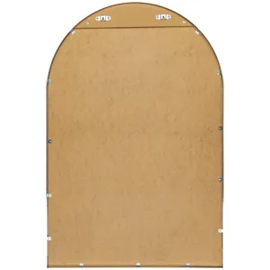 Aranya Mirror