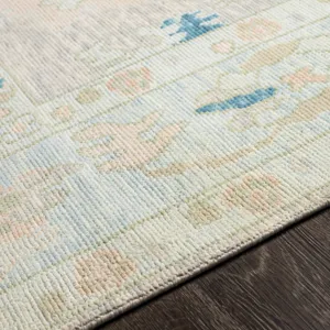 Ushak 2' x 3' Rug