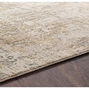 Aisha 2'7" x 5' Rug